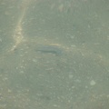 Fishy on the sandbar.jpg